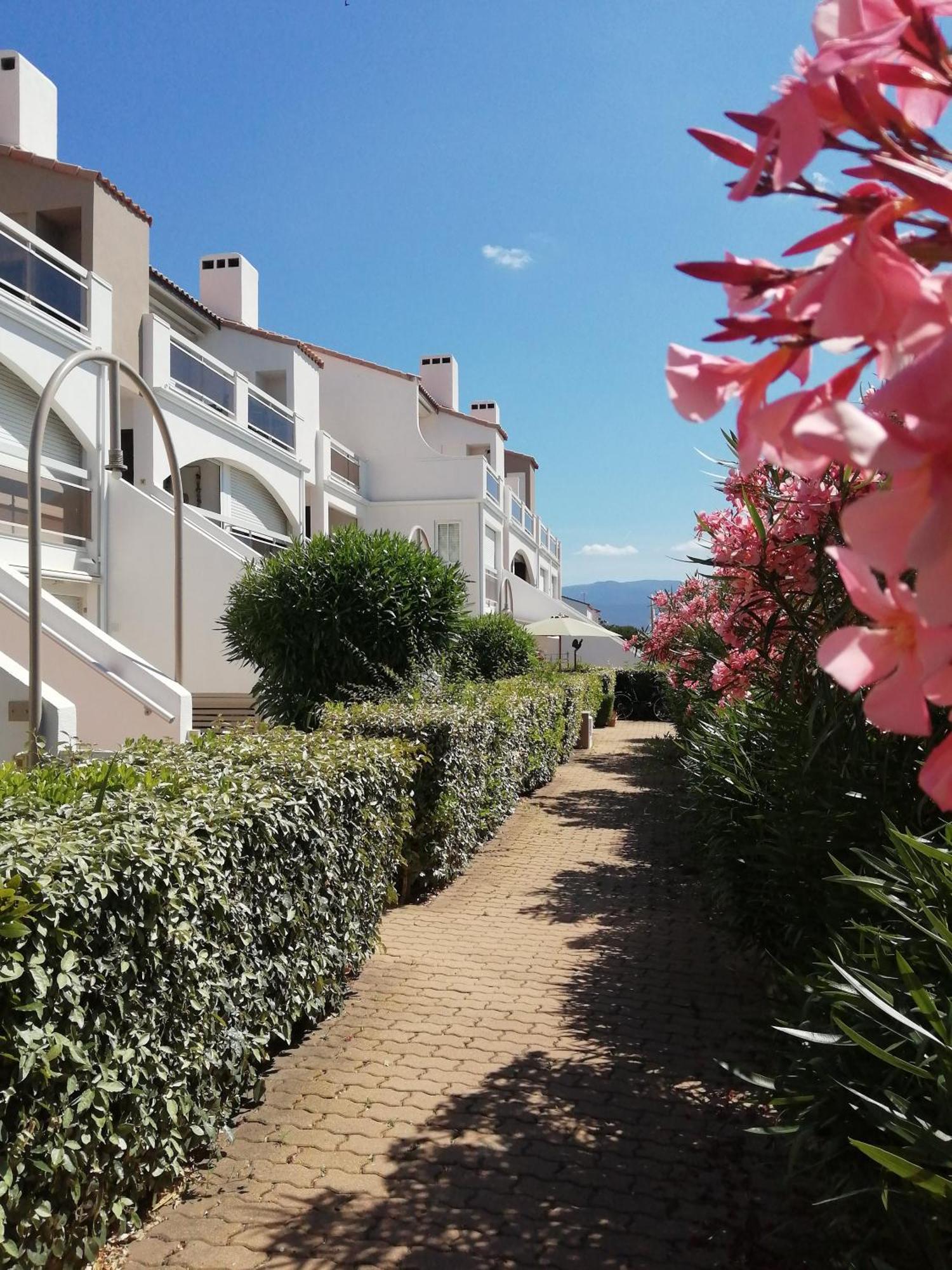 Vue Lagune Et Bateaux A 100M De La Plage Saint-Cyprien (Pyrenees-Orientales) Exterior foto